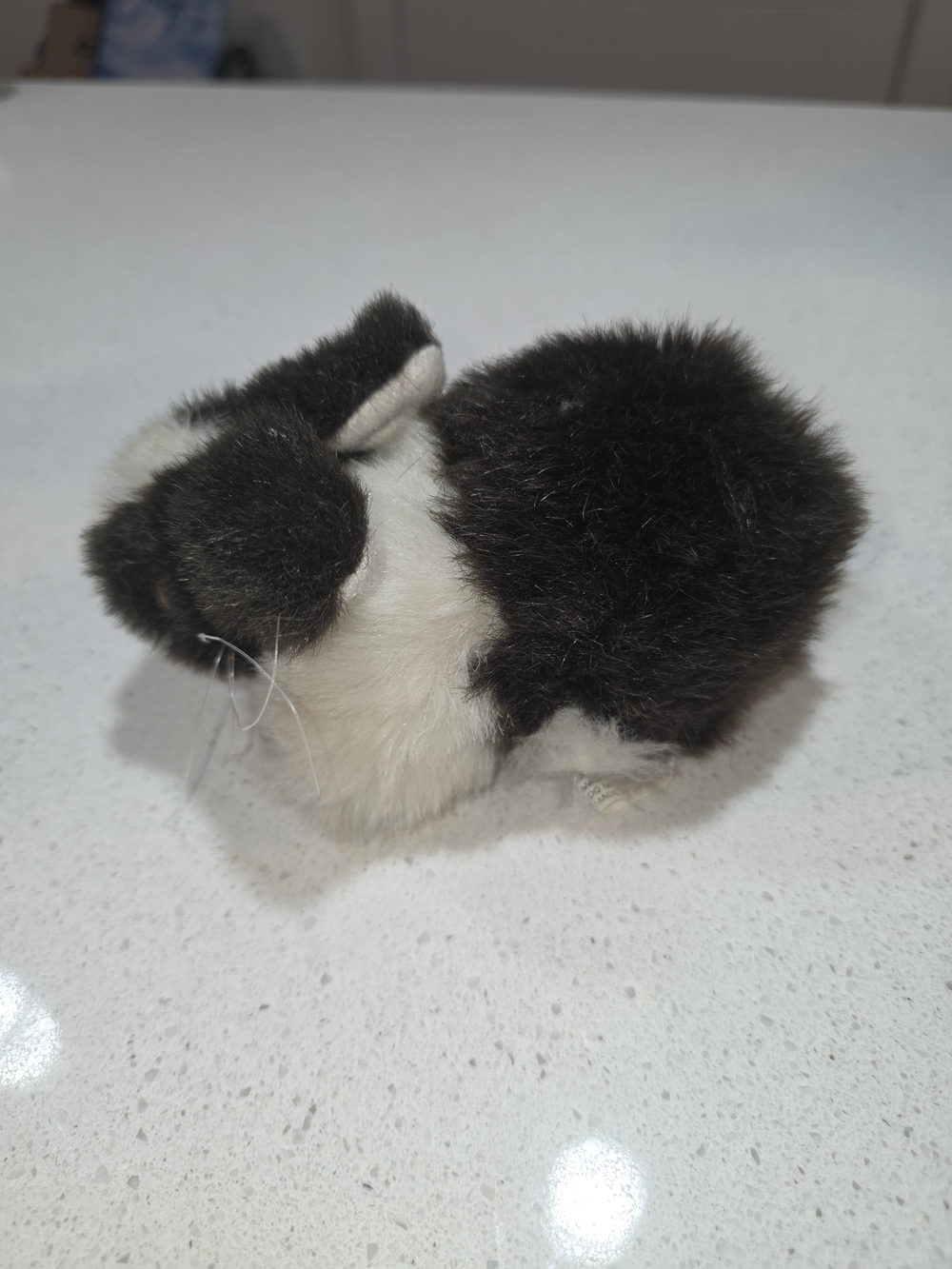 Black and White Small Pet Plush / Toy for Small Pets - Picture 4 of 6